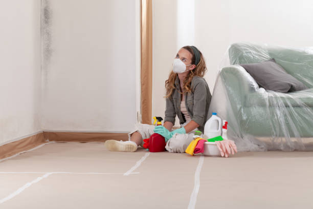 Reliable Mold Remediation contractor in Mesquite, TX by WQB Mold Removal